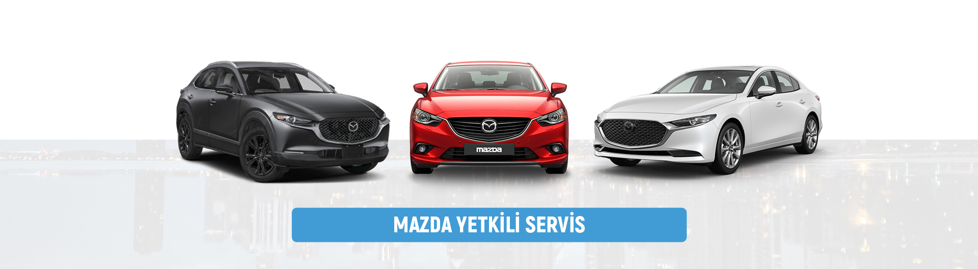 Tomurcuk Otomotiv Bursa